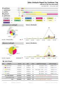 R-06 วิเคราะห์ตามแท็กลูกค้า